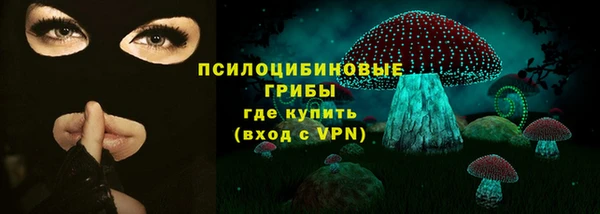 хмурый Вязьма