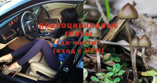 MESCALINE Вяземский