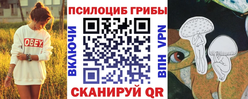 Галлюциногенные грибы Magic Shrooms  цена   Камышин 