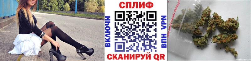 продажа наркотиков  Камышин  Бошки Шишки конопля 
